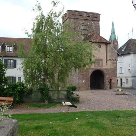 Appartement Sur La Route Des Vins D'Alsace Cernay  Esterno foto