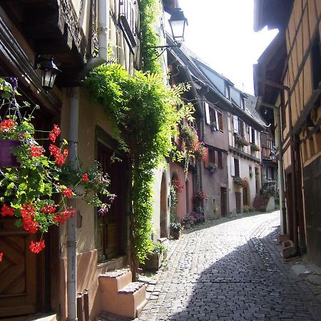 Appartement Sur La Route Des Vins D'Alsace Cernay  Esterno foto