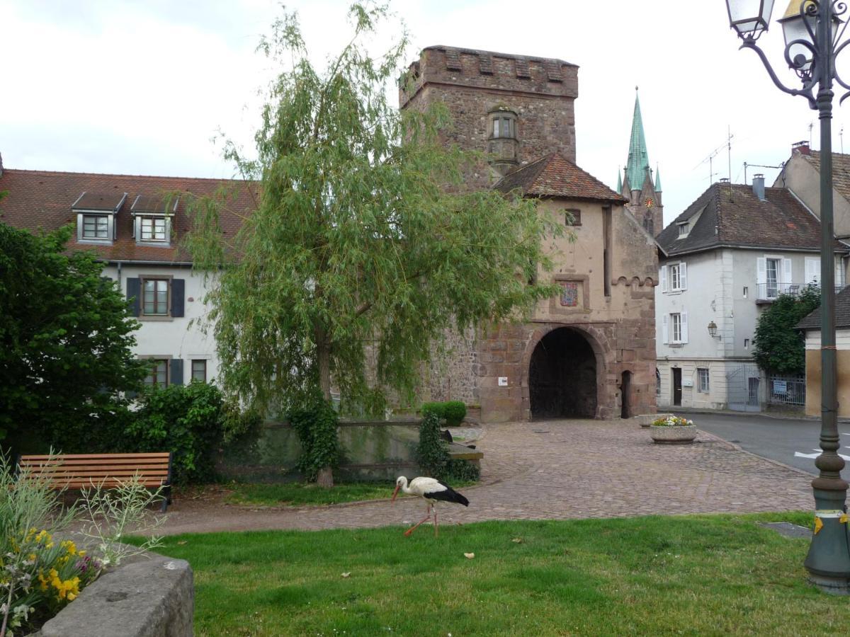 Appartement Sur La Route Des Vins D'Alsace Cernay  Esterno foto