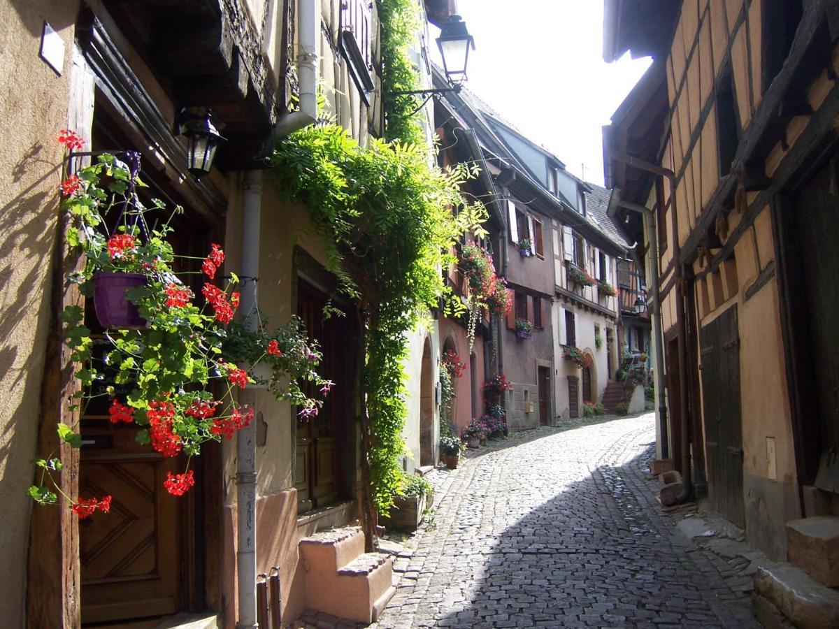 Appartement Sur La Route Des Vins D'Alsace Cernay  Esterno foto