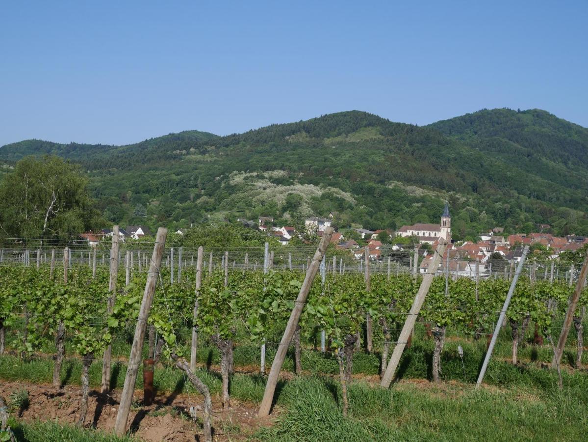 Appartement Sur La Route Des Vins D'Alsace Cernay  Esterno foto