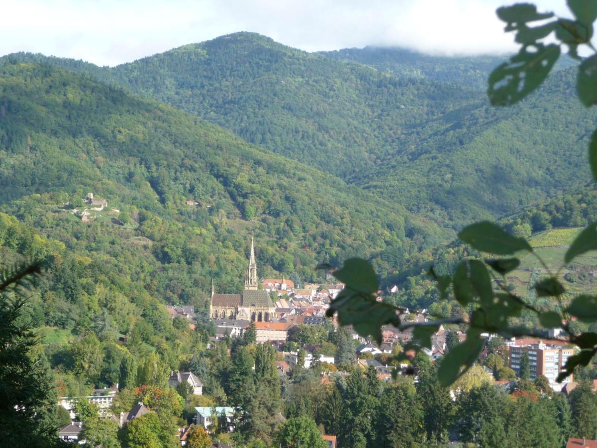 Appartement Sur La Route Des Vins D'Alsace Cernay  Esterno foto