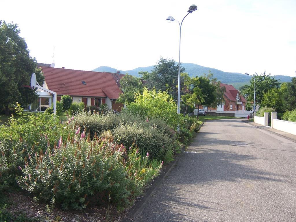 Appartement Sur La Route Des Vins D'Alsace Cernay  Esterno foto