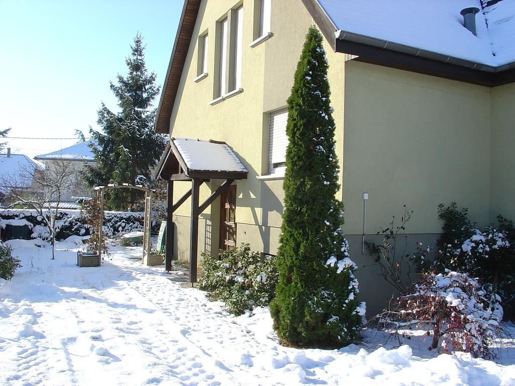 Appartement Sur La Route Des Vins D'Alsace Cernay  Esterno foto